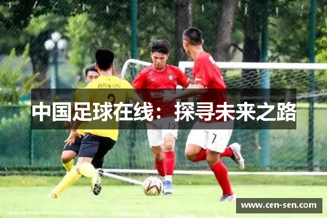 中国足球在线：探寻未来之路